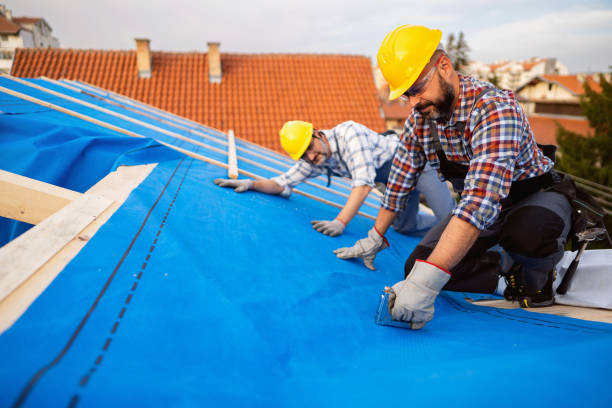 Roof Gutter Cleaning in Matheny, CA