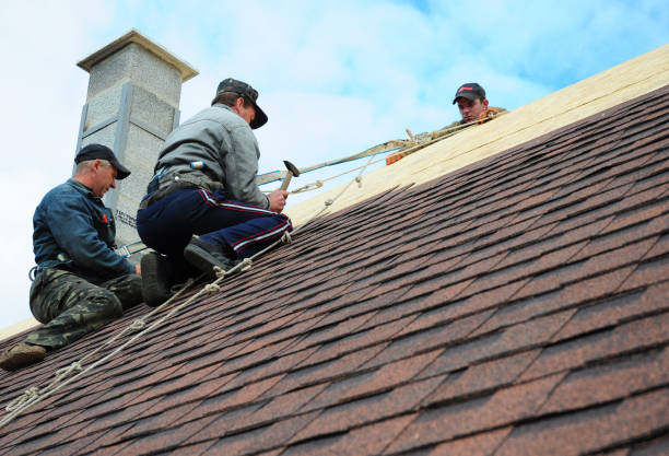 Best Roof Leak Repair  in Matheny, CA