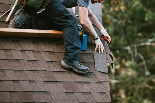 Best Roof Maintenance Services  in Matheny, CA